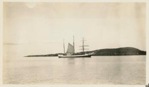 Image of Arctic- formerly S.S. Gauss